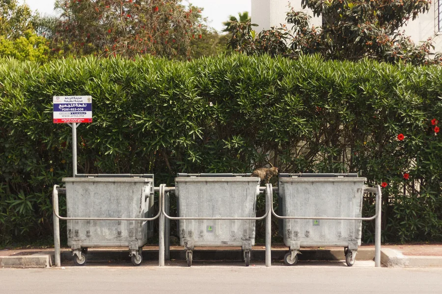 Bins standing at the kerbside