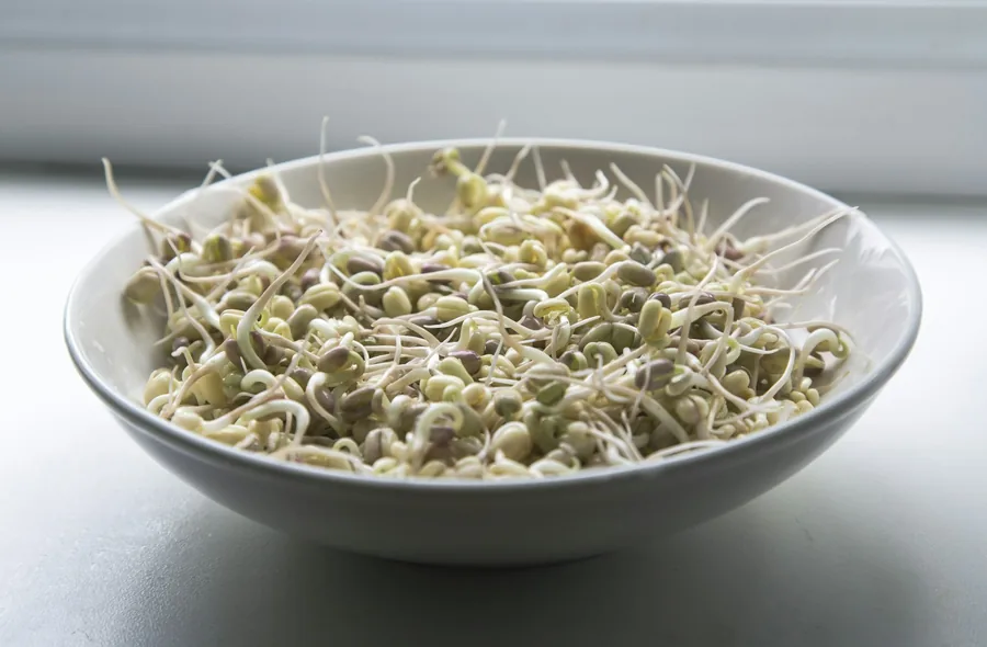 Fresh bean sprouts, a common chop suey vegetable