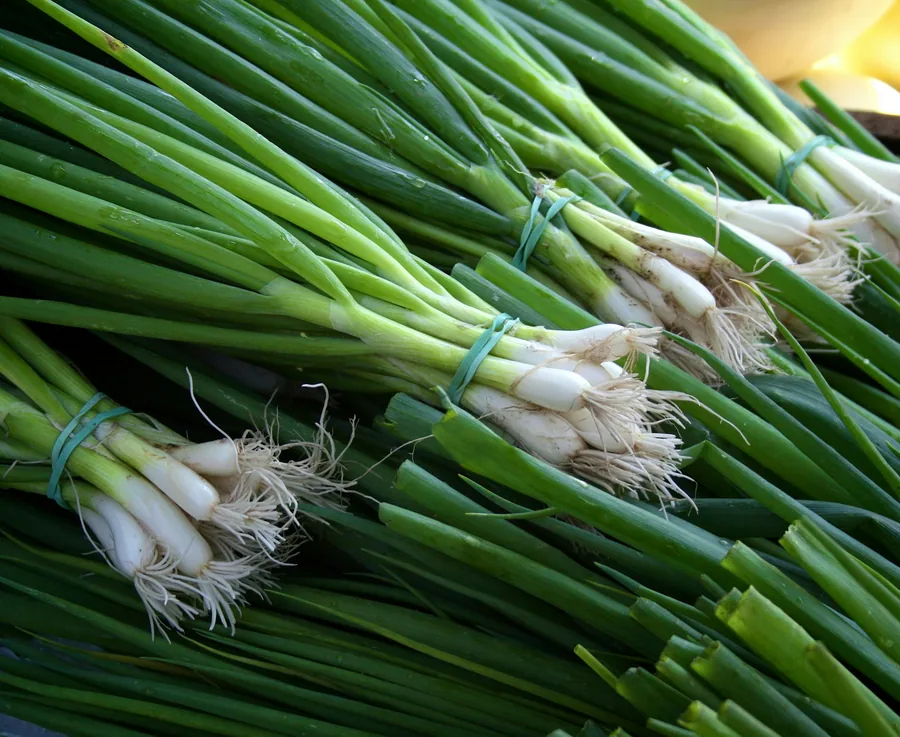Fresh scallions, the signature vegetable in Mongolian beef