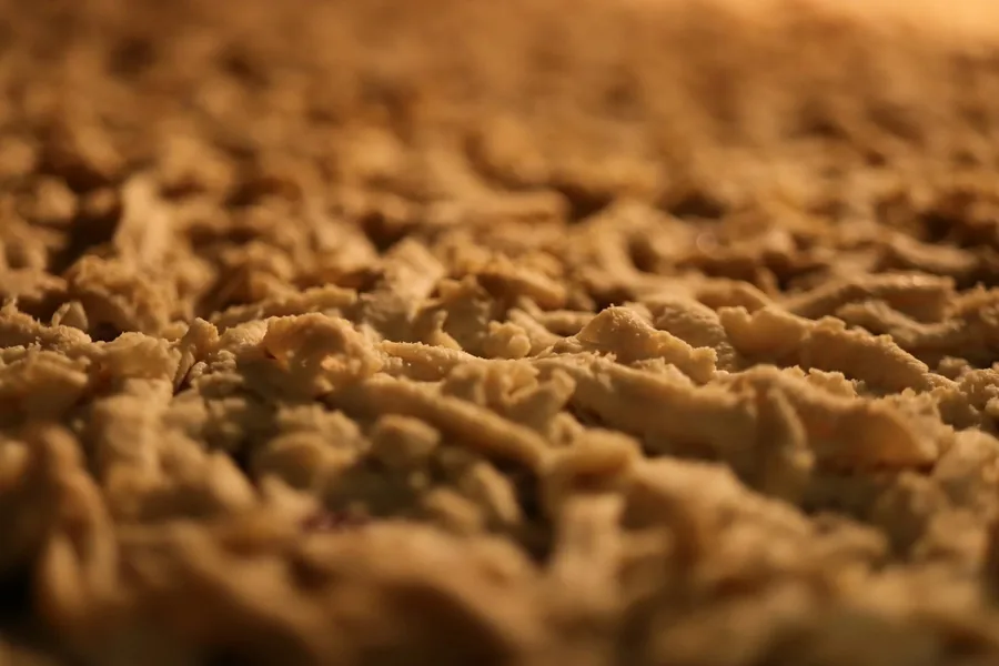 A close view of a blistered fried wrapper