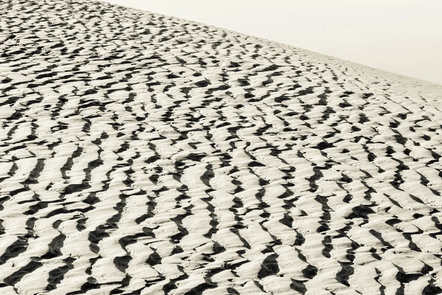 Sesame seeds scattered on a surface