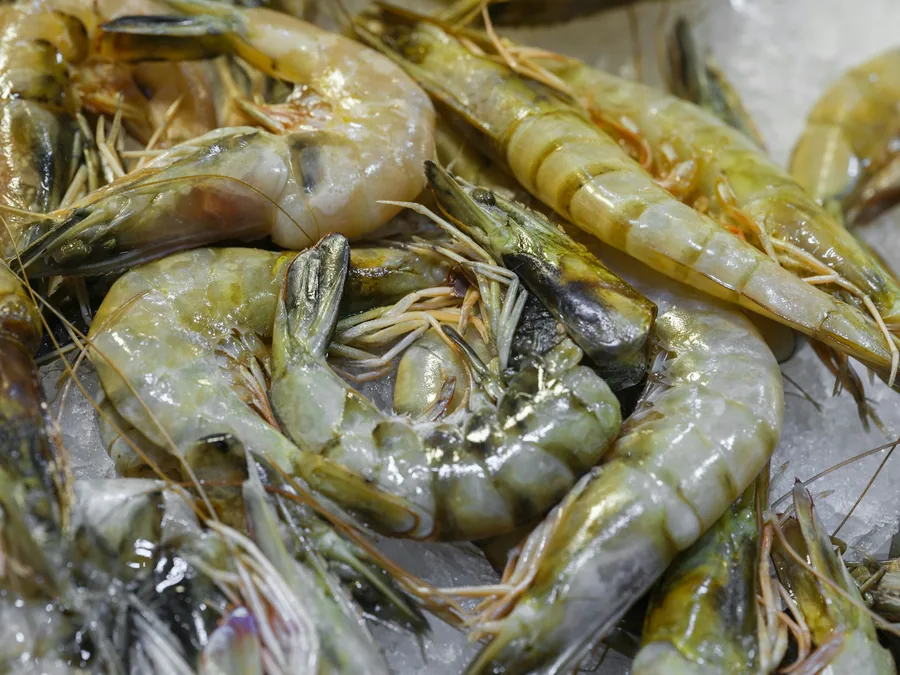 Raw shrimp on ice